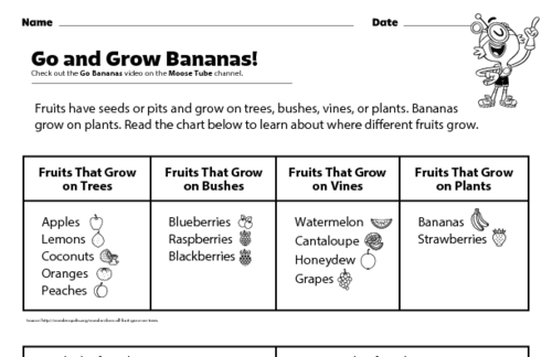 Go and Grow Bananas: Fruit Facts