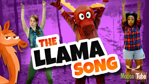 the-llama-song-image